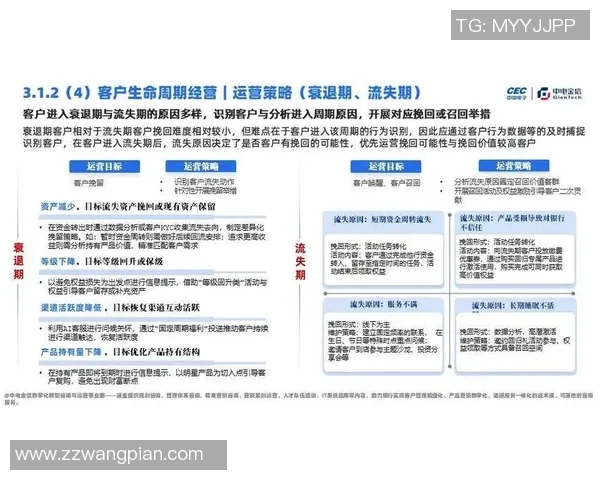 重磅专题：探讨WE在运营革新中的新策略与实践成效