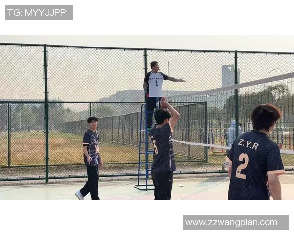 南京排球队的奋斗与荣耀：一段不平凡的排球纪实之旅