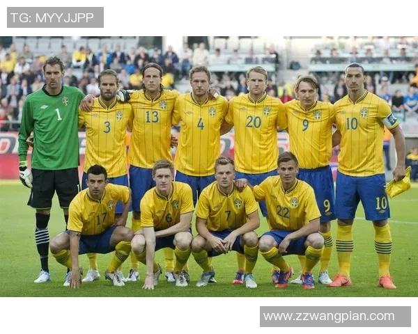 德国与瑞典精彩对决回顾比赛集锦尽显足球魅力与激情